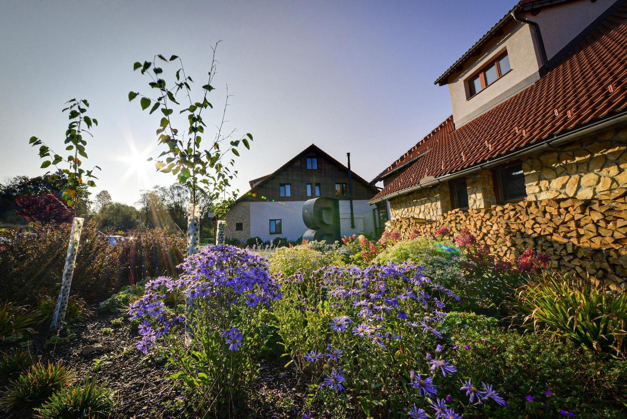 Resort Orsino Horní Planá Exteriör bild